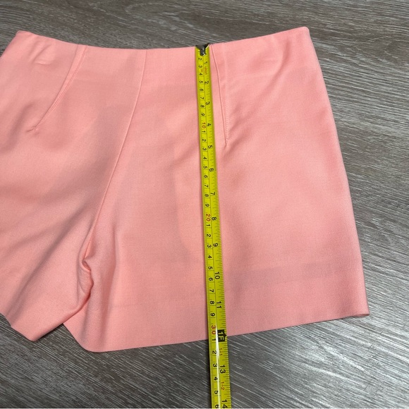 Theory Pink Short size 0 - Picture 7 of 8